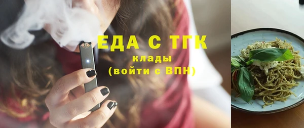 гидра Осинники