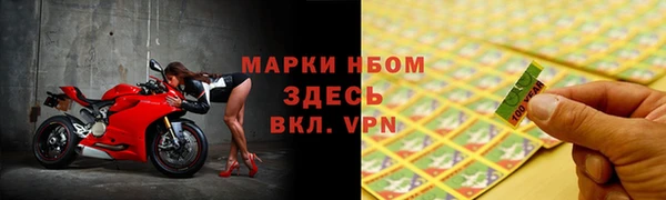 дмт Осташков