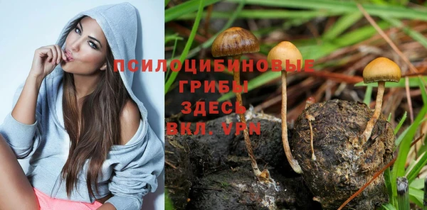дмт Осташков