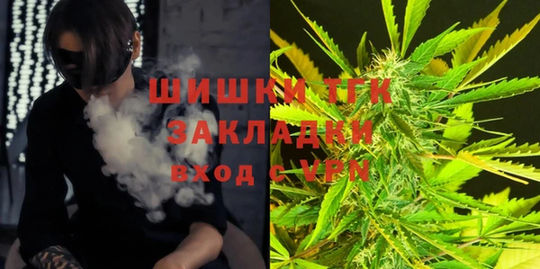 дмт Осташков