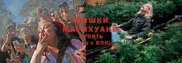 ALPHA PVP Теберда
