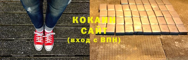 шишки Александровское