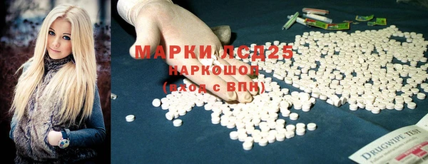 гидра Осинники