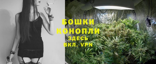 героин Пересвет